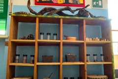 IMG-20260909-WA0016
